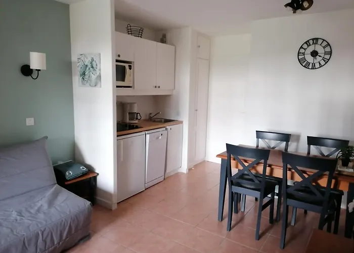 Bonheur مونفلاكين